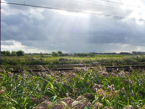 weiland in de buurt van Wormerveer